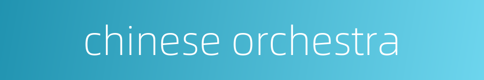 chinese orchestra的同义词