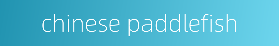 chinese paddlefish的同义词