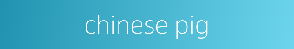chinese pig的同义词
