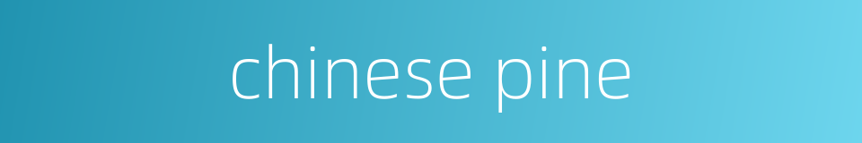 chinese pine的同义词