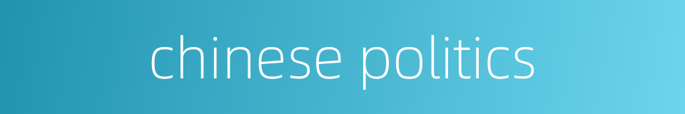 chinese politics的同义词
