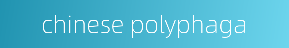 chinese polyphaga的同义词