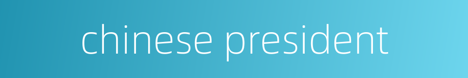 chinese president的同义词