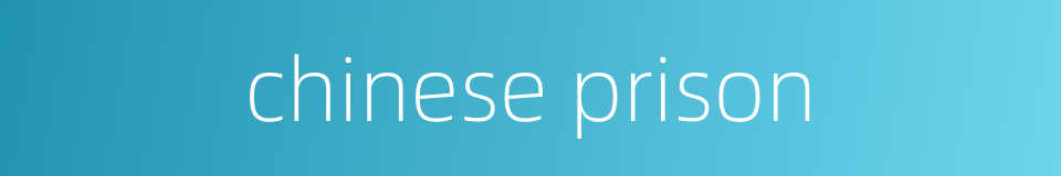 chinese prison的同义词