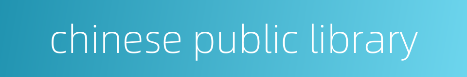 chinese public library的同义词
