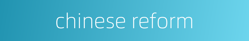 chinese reform的同义词