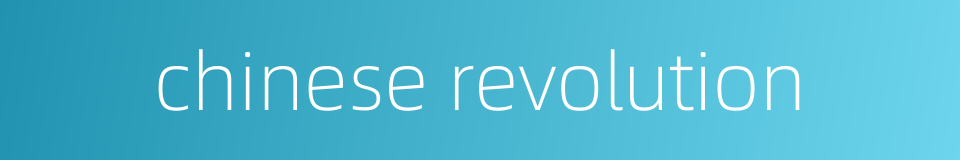chinese revolution的同义词