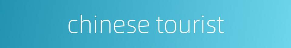 chinese tourist的同义词