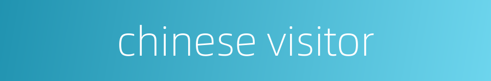 chinese visitor的同义词
