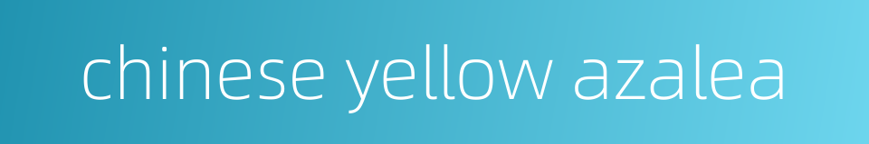 chinese yellow azalea的同义词
