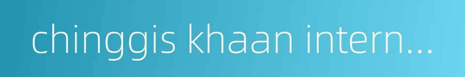 chinggis khaan international airport的同义词