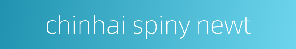 chinhai spiny newt的同义词