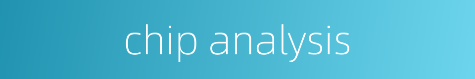 chip analysis的同义词