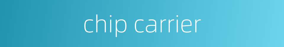 chip carrier的同义词