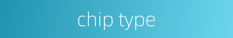 chip type的同义词
