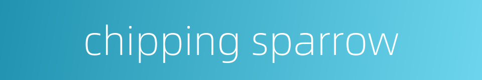 chipping sparrow的同义词