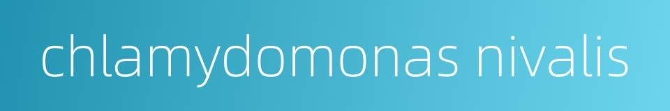 chlamydomonas nivalis的同义词