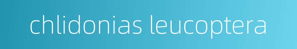 chlidonias leucoptera的同义词
