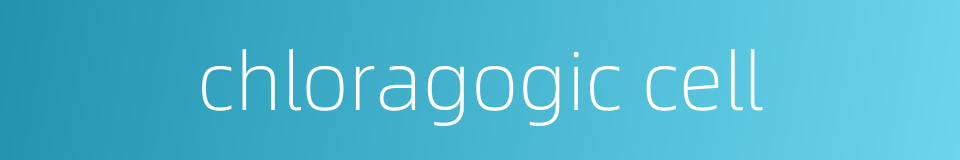 chloragogic cell的同义词