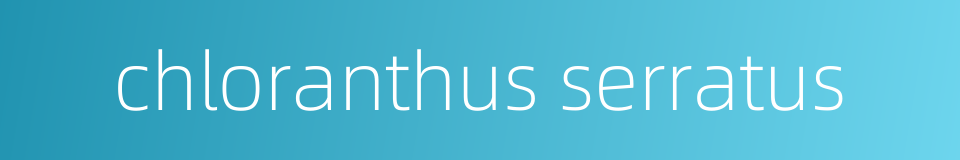 chloranthus serratus的同义词