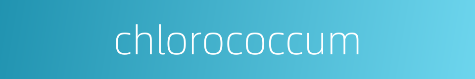 chlorococcum的同义词