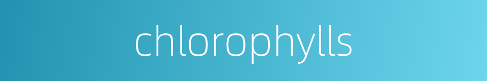 chlorophylls的同义词