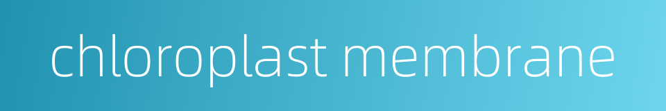 chloroplast membrane的同义词