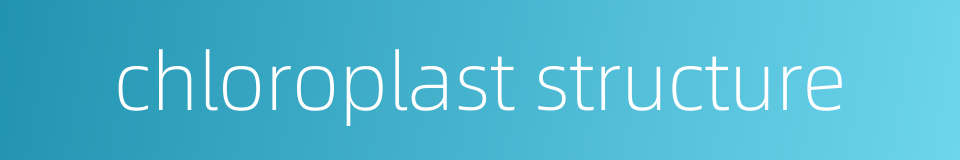 chloroplast structure的同义词