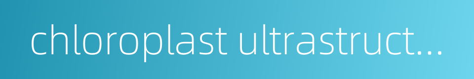 chloroplast ultrastructure的同义词