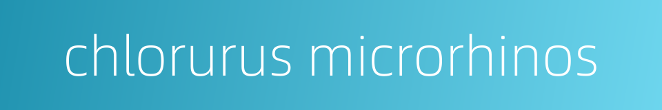 chlorurus microrhinos的同义词