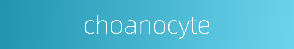 choanocyte的同义词