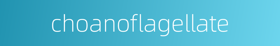 choanoflagellate的同义词