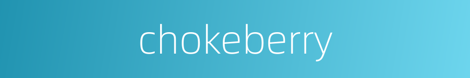 chokeberry的同义词