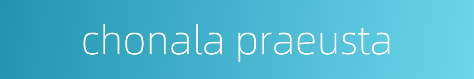 chonala praeusta的同义词
