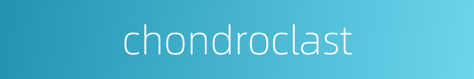 chondroclast的同义词