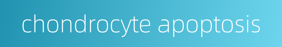 chondrocyte apoptosis的同义词