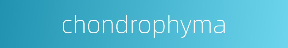 chondrophyma的同义词