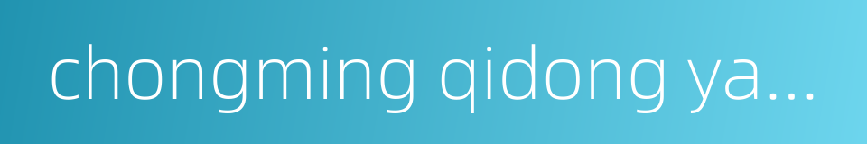 chongming qidong yangtze river bridge的同义词