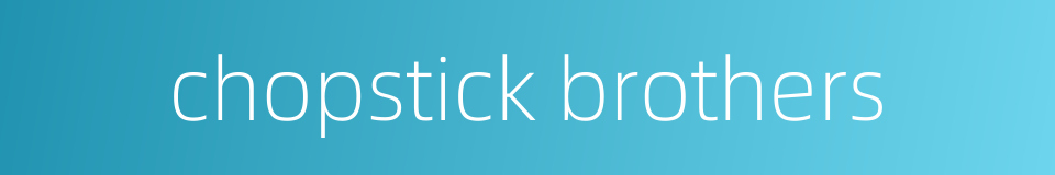 chopstick brothers的同义词