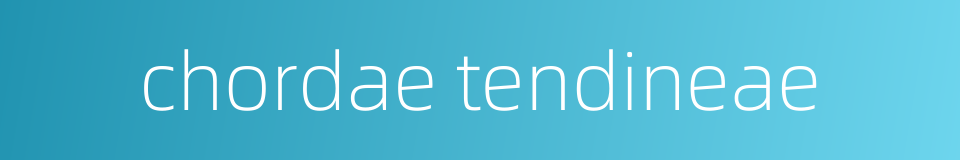 chordae tendineae的同义词