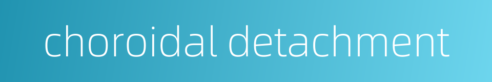 choroidal detachment的同义词