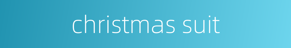 christmas suit的同义词