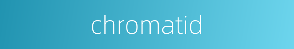 chromatid的同义词