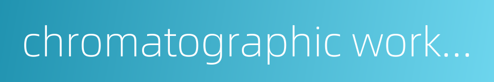chromatographic work station的同义词