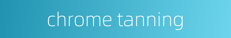 chrome tanning的同义词