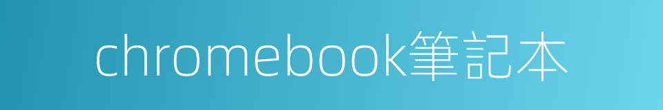chromebook筆記本的同義詞