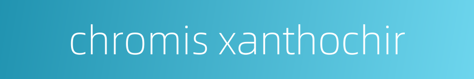 chromis xanthochir的同义词