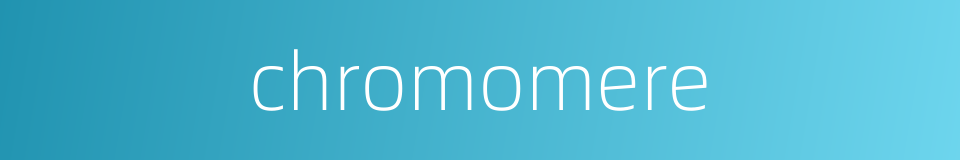 chromomere的同义词