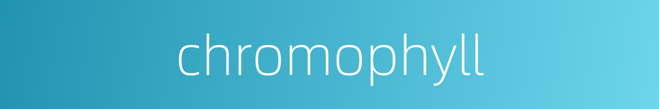 chromophyll的同义词