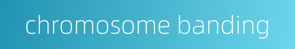 chromosome banding的同义词